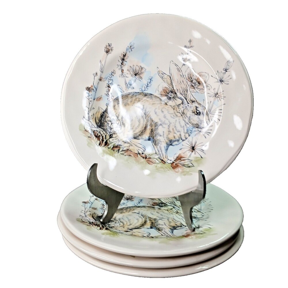 Pier 1 Bunny Rabbit in the Flowers 4 Salad Plates Ironstone Easter Spring